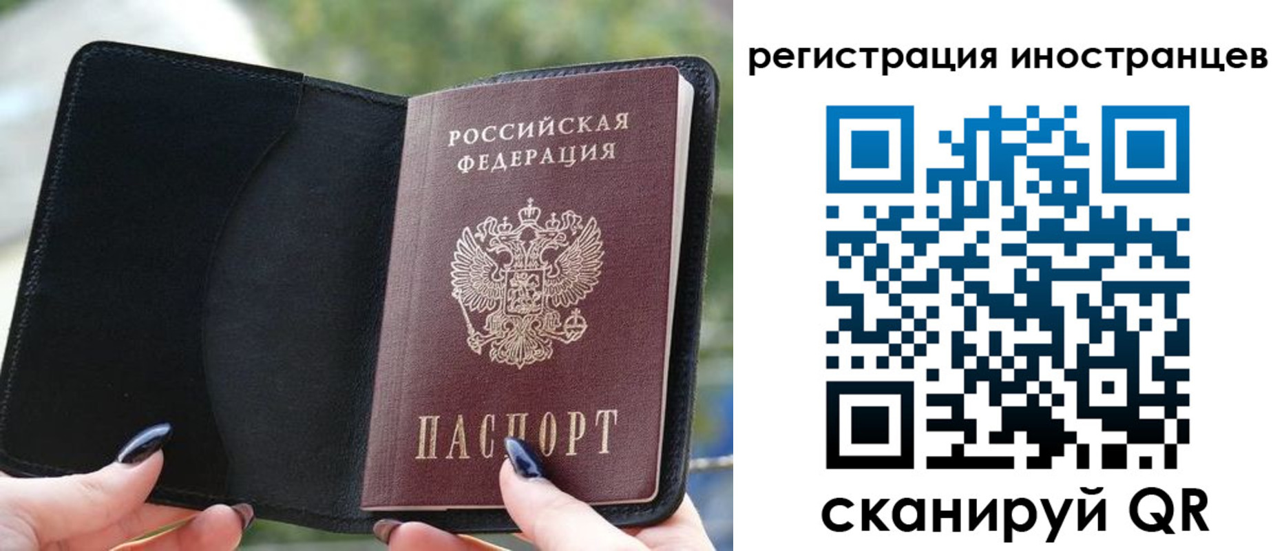 найти адрес прописки в Шимановске